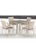 Комплект плетеной мебели T256C/Y376C-W85 Latte (4+1) + подушки на стульях